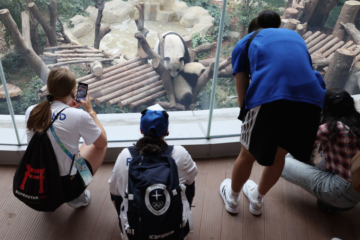 跨越地球两端的“老友之约”：美国击剑选手成